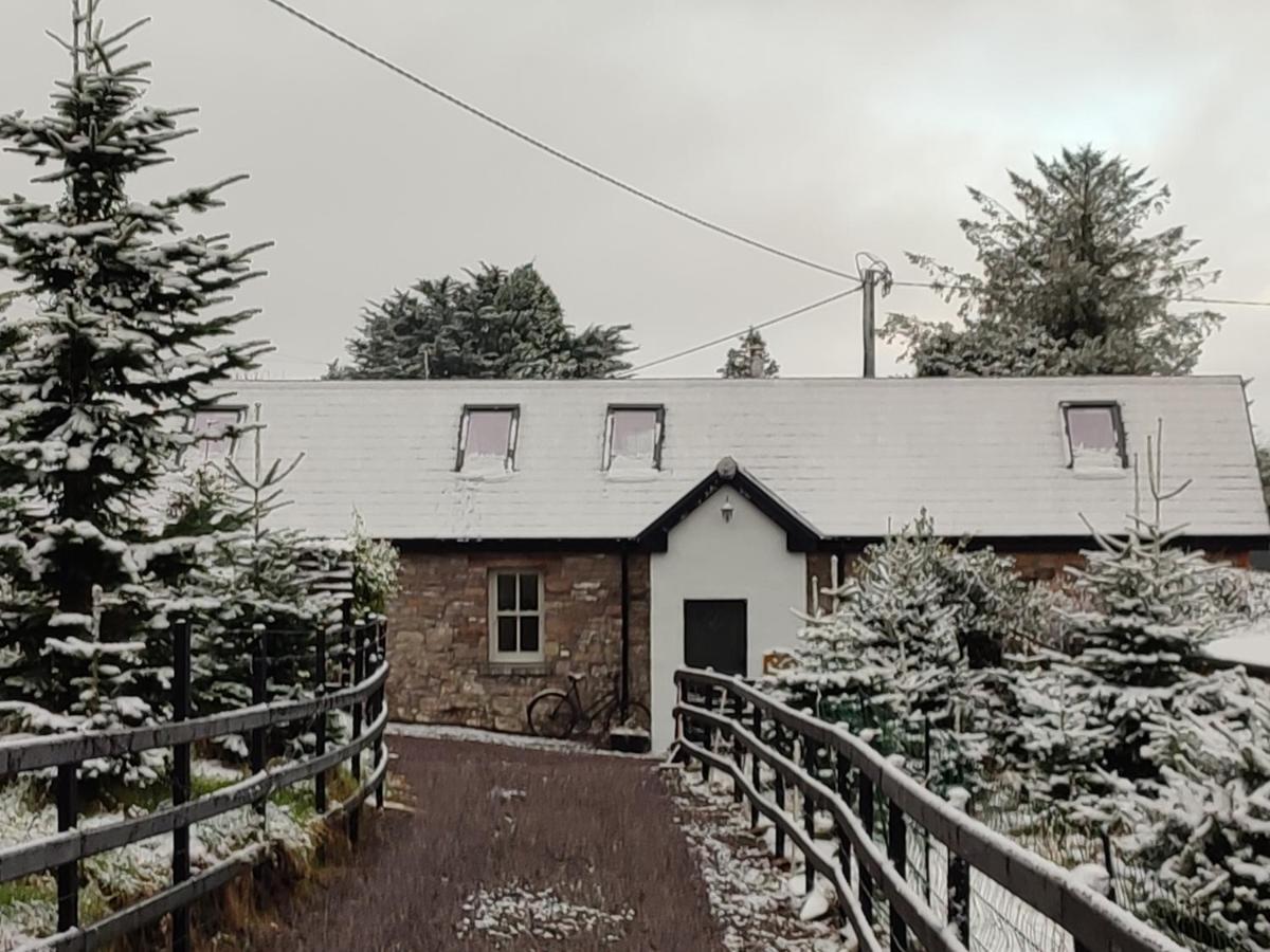 The Old House At Belfield Villa Tralee Exterior photo